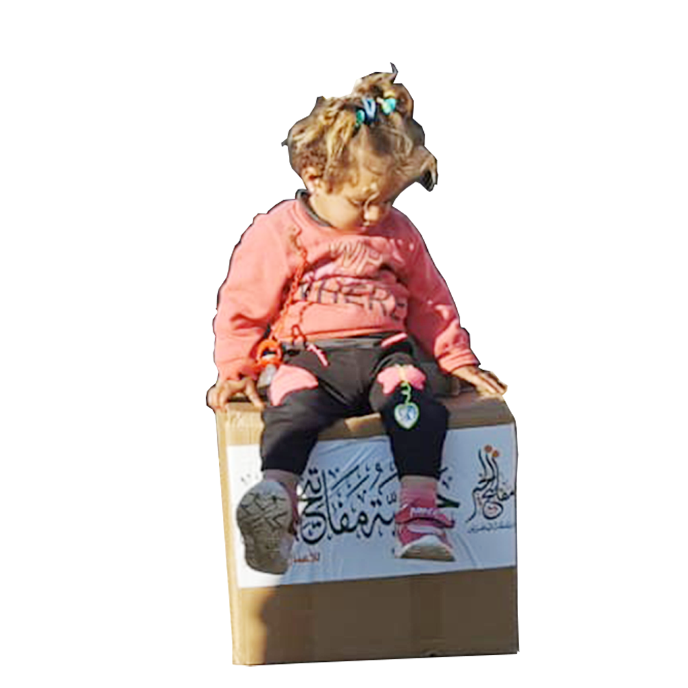 مشروع الإغاثة الدولية 